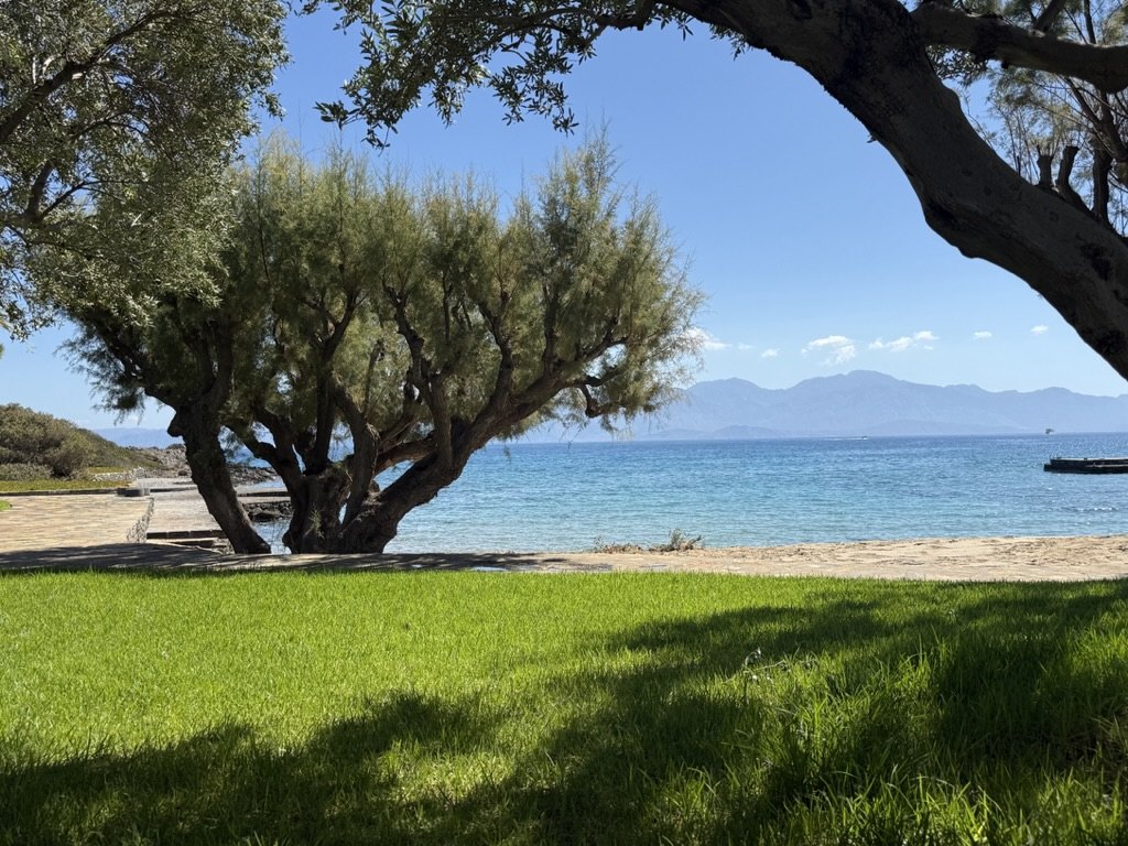 A Cretan bay framed by olive trees